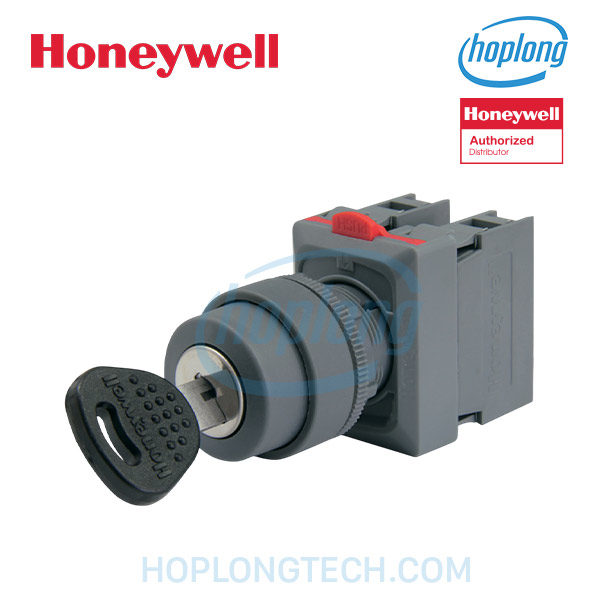 honeywell-rp22y2-10-b-main