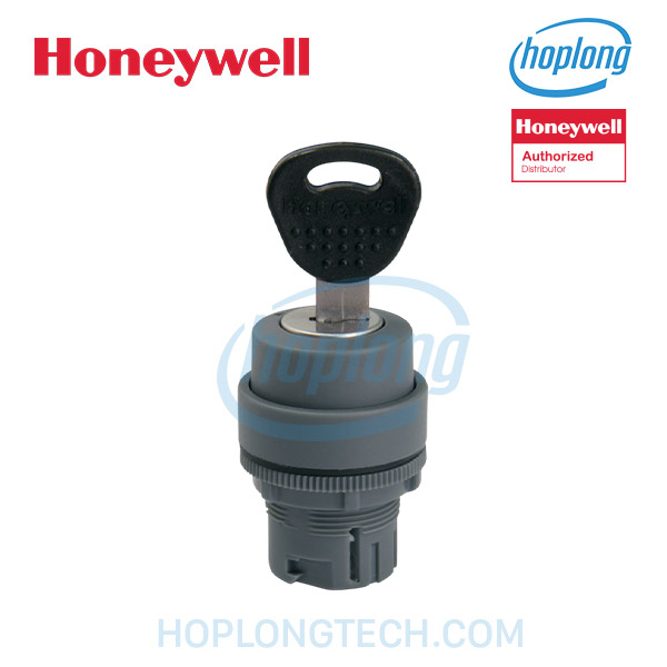 honeywell-rp22y2-b-main
