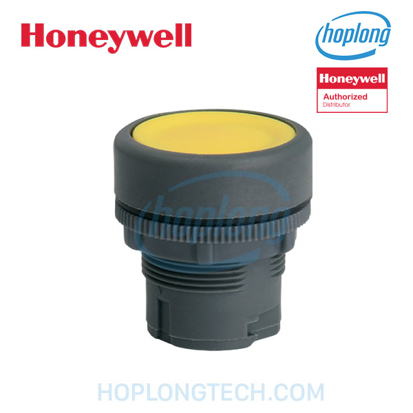honeywell-rp22-r-main
