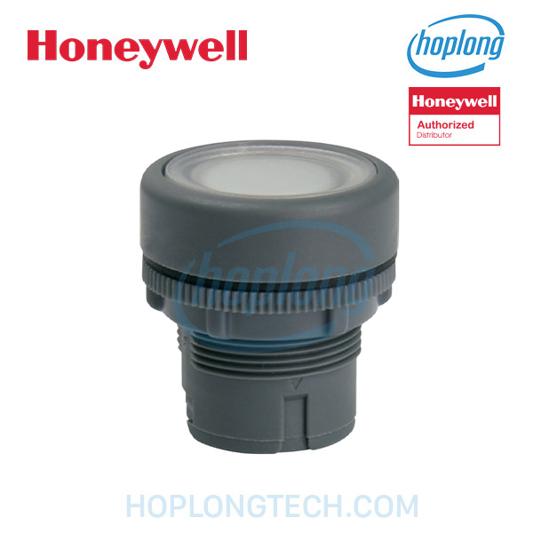 honeywell-rp22d-r-main