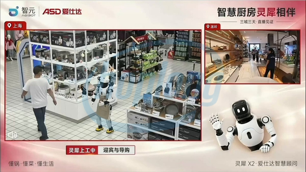 100-robot-hinh-nguoi-agibot-x2-truc-tiep-tu-van-ban-hang-tai-cua-hang-asd-4.jpg