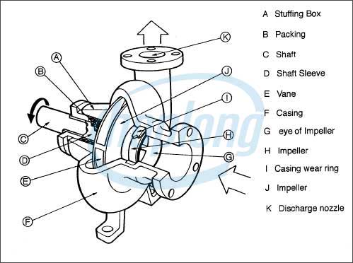 Cấu tạo của máy bơm ly tâm