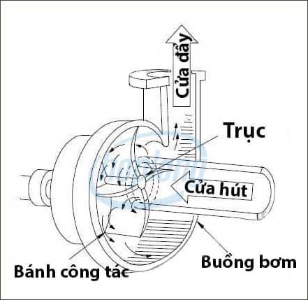 Nguyên lý làm việc của máy bơm ly tâm