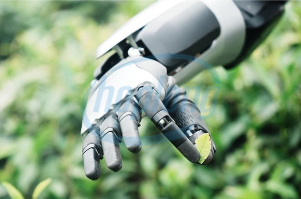 robot-hinh-nguoi-agibot-a2-truc-tiep-xuong-dong-hai-che-long-tinh-mo-ra-buoc-tien-moi-cho-nong-nghiep-thong-minh-2.jpg