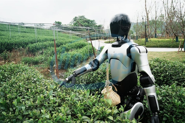 robot-hinh-nguoi-agibot-a2-truc-tiep-xuong-dong-hai-che-long-tinh-mo-ra-buoc-tien-moi-cho-nong-nghiep-thong-minh-5.jpg