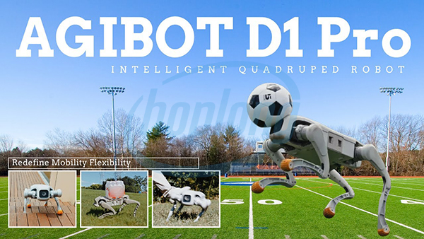 robot-hinh-thu-d1-pro-va-nhung-ung-dung-bat-ngo-trong-cong-nghiep-2