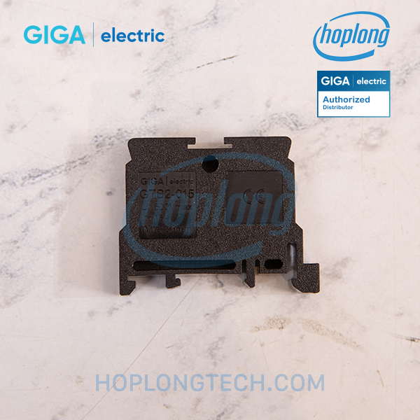 giga-electric-gtb2-015-main-3