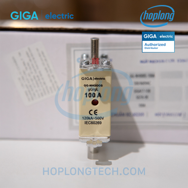 gg-nh000s-100a-1