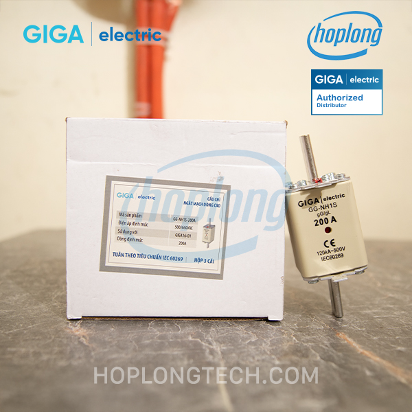 gg-nh1s-200a-1