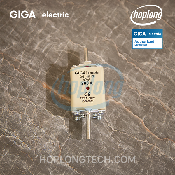 gg-nh1s-200a-2