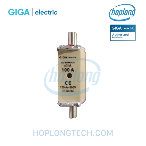giga-electric-gg-nh000s-100a-mainjpg