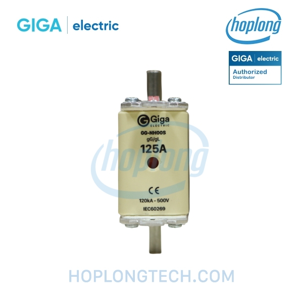 giga-electric-gg-nh00s-125a-mainjpg