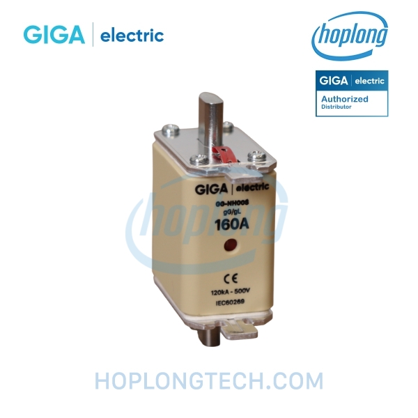 giga-electric-gg-nh00s-160a-mainjpg
