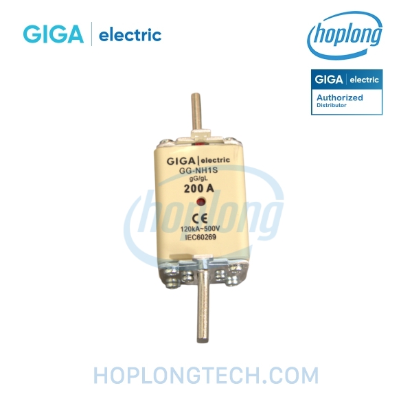 giga-electric-gg-nh1s-200a-mainjpg