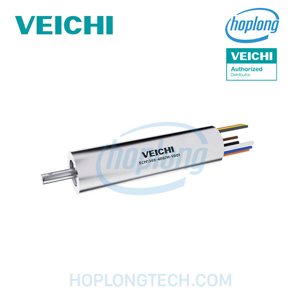 motor-ech-veichi-main