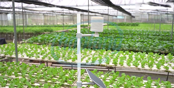 Ứng dụng cảm biến sợi quang trong môi trường.